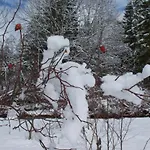 Apartman Lavida Star Alpine Hideaway Thun, Sauna, Free Parking Blumenstein