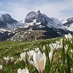 Lavida Star Alpine Hideaway Thun, Sauna, Free Parking Apartman *