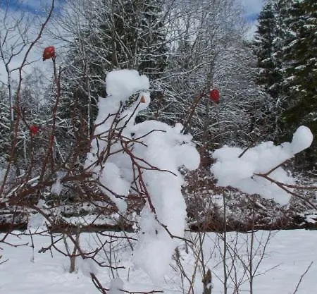 Appartement Lavida Star Alpine Hideaway Thun, Sauna, Free Parking Blumenstein