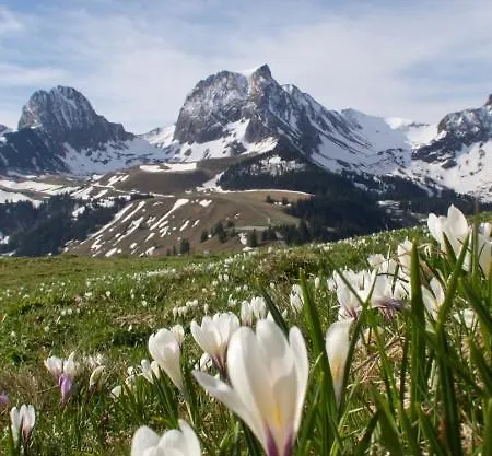 Lavida Star Alpine Hideaway Thun, Sauna, Free Parking Appartement *