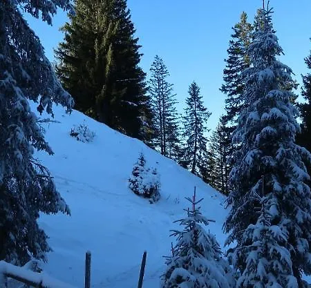 Lavida Star Alpine Hideaway Thun, Sauna, Free Parking