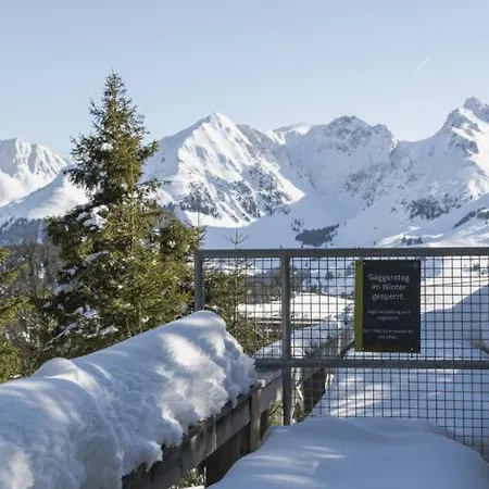 Lavida Star Alpine Hideaway Thun, Sauna, Free Parking * Blumenstein