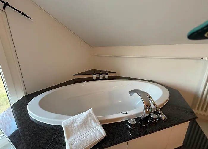 Lavida Star Alpine Hideaway Thun, Sauna, Free Parking Blumenstein