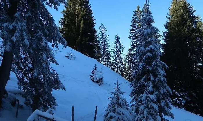 Lavida Star Alpine Hideaway Thun, Sauna, Free Parking