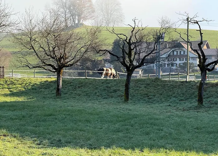 Lavida Star Alpine Hideaway Thun, Sauna, Free Parking * Blumenstein