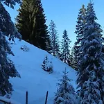 Lavida Star Alpine Hideaway Thun, Sauna, Free Parking
